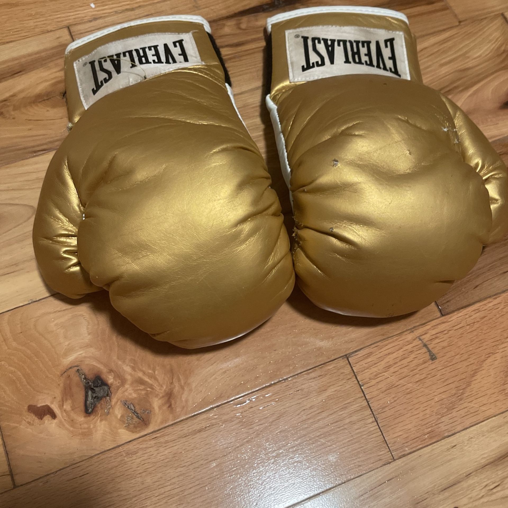 Everlast Punching Gloves 