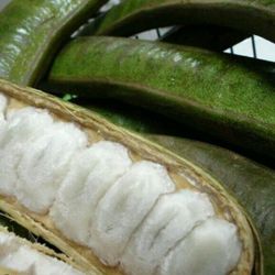 Ice Cream Beans Trees 