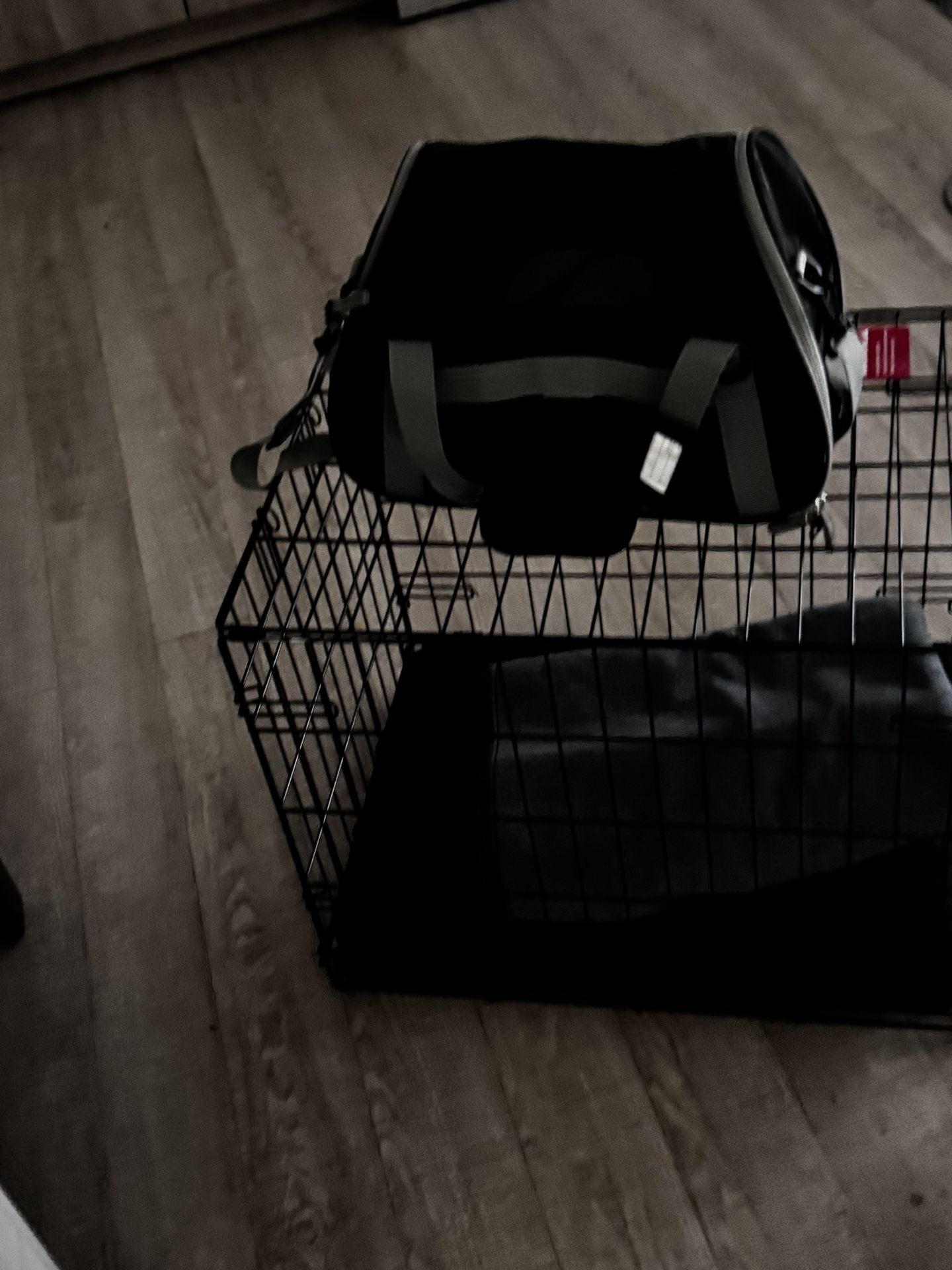Dog Carrier + Cadge