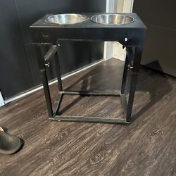 Raised dog Feed/water Bowls 