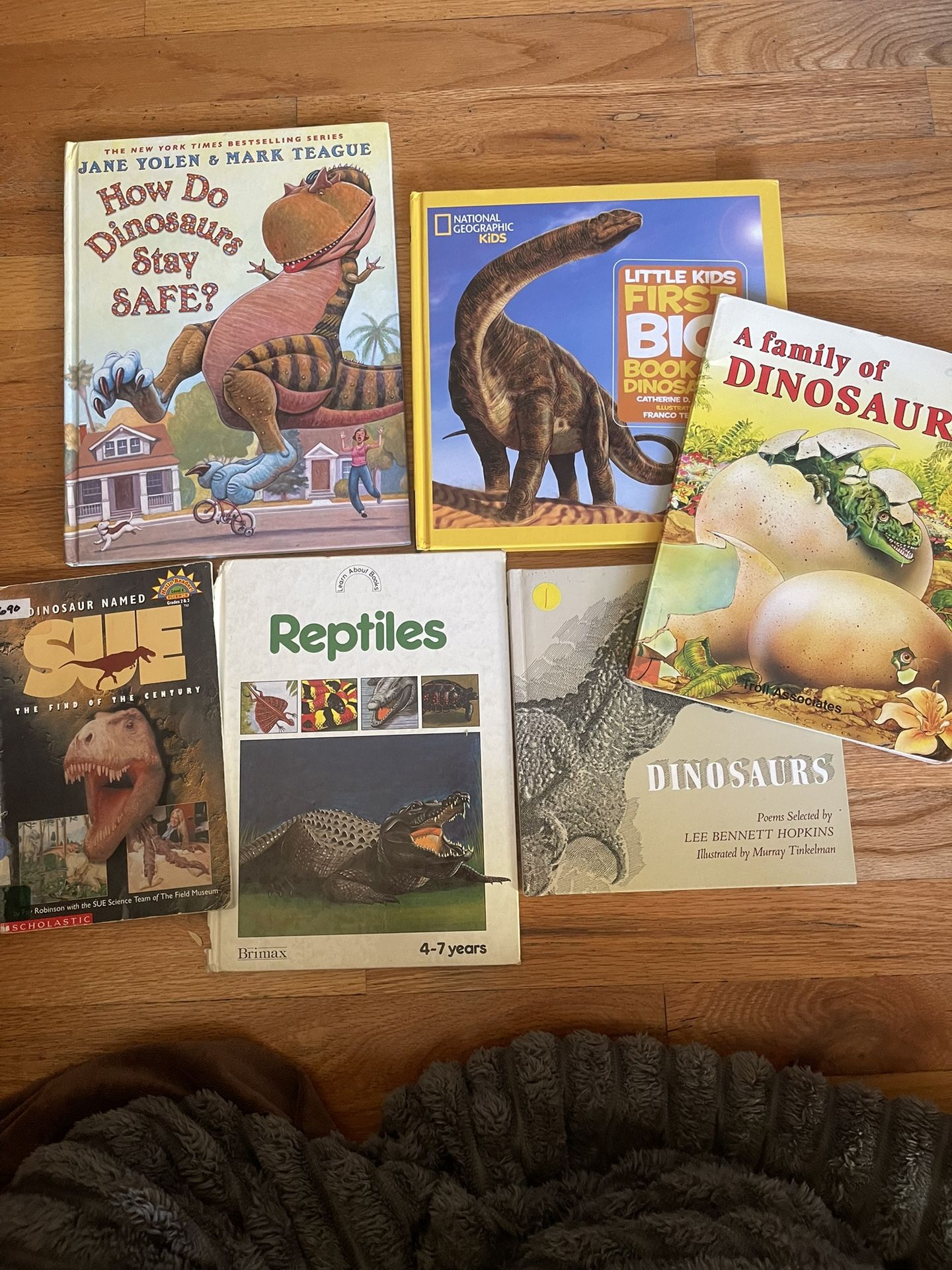Dinosaur Kid Books