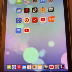 IPad Pro 9.7in