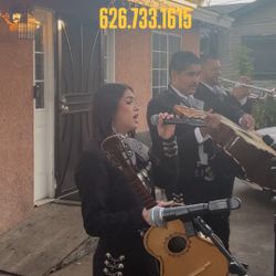 Mariachi Trompeta Mariachi ViolÃn Mariachi … etc
