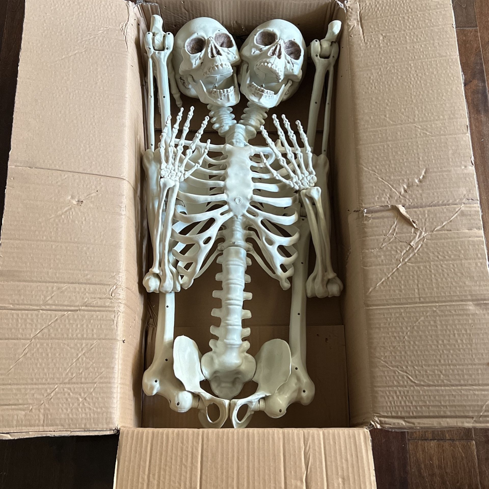 (2) Two Headed 5ft Life Size Posable Skeleton Halloween Decoration