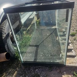 Fish Tank/ Reptile Tank