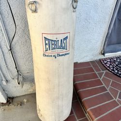 Punching Bag 