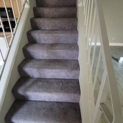 STEAM CARPET CLEAN