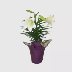 Easter lily