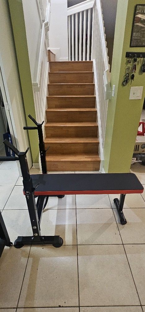 Exercise bench/ Banco de ejercicio