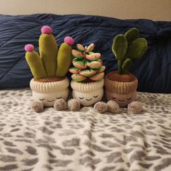 Succulent Stuffed Animals