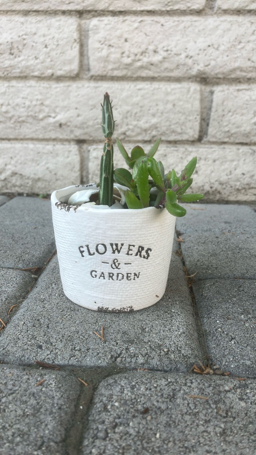 $3 Small Plant Pot