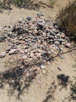 Free rocks for landscaping