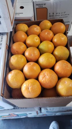 BUY THE BEST VALENCIA ORANGES
