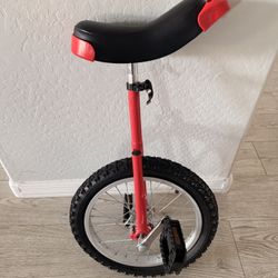 Unicycle 