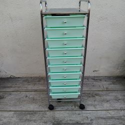 10 Drawer Rolling Organize 
