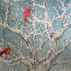 Shower Curtain Winter Robin 