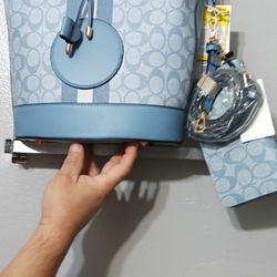 Tote w/Matching Walket