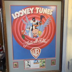 Looney Toons Framed Poster