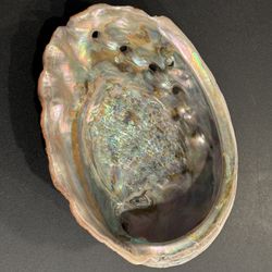 Abalone Shell - Beautiful Natural Abalone Sea Shell - Unpolished - Smudging Bowl, Craft Shell, Shell Bowl, Trinket Shell  approximately 7"x 5.5"