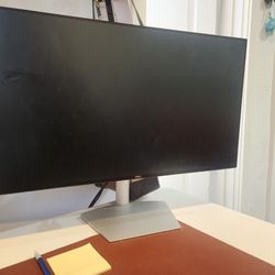 Computer Monitor - Dell