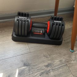 dumbells