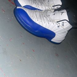 blueberry 12s