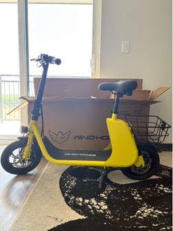 Electric scooter