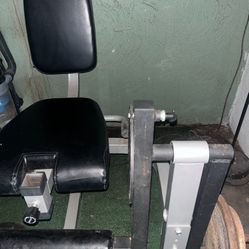 Leg Extension Leg Curl 