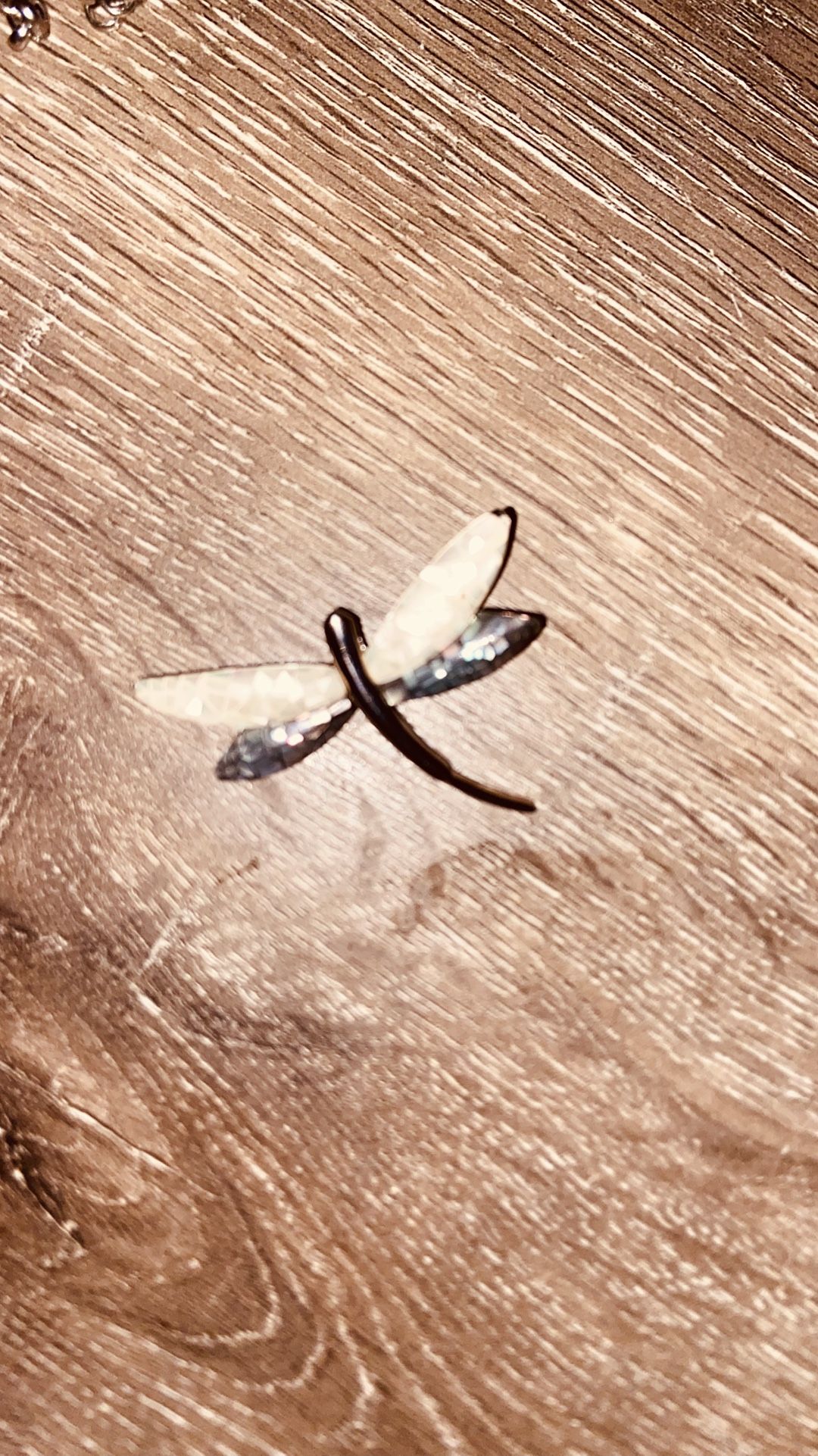 Dragon Fly Brooch