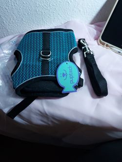 PUPTECK HARNESS AND LEASH  