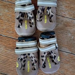 Dog Shoes 40-55 Pounds Size 5