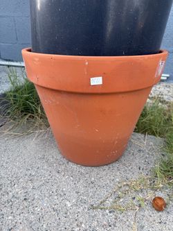 Clay Pots Plants for 2 14x17