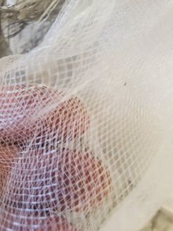 mosquito netting Or Bird Netting