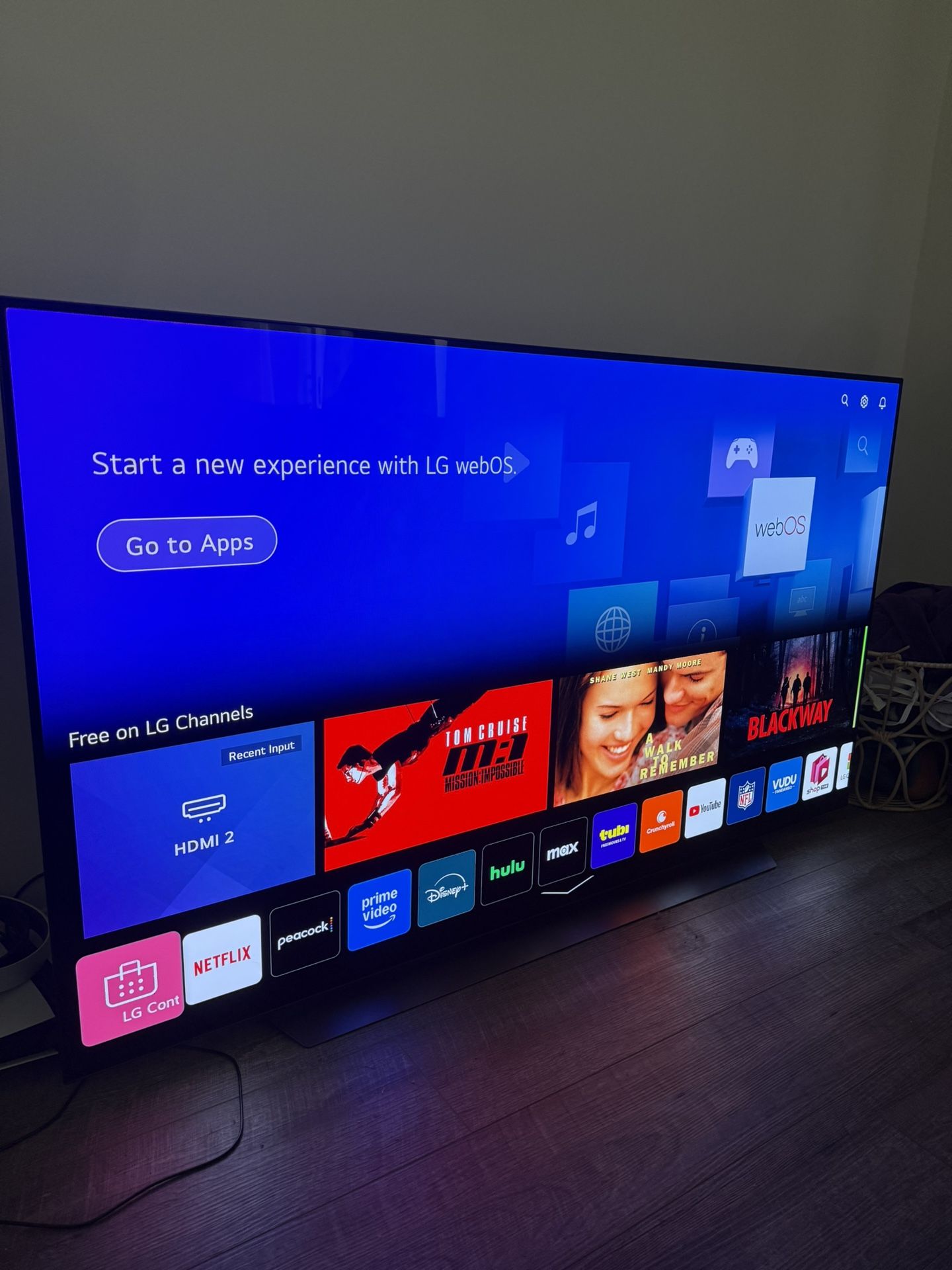65in Oled Tv