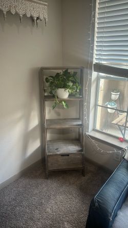 Decorative Bookshelf