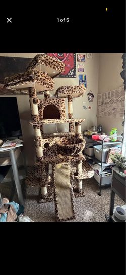68 inch cat tree