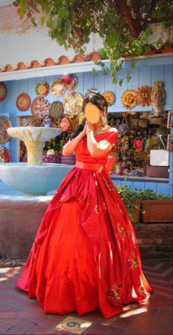 Elena of Avalor adult women’s gown costume dress