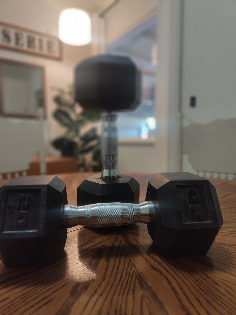 20lb Dumbbells