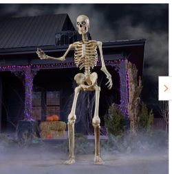 BRAND NEW GIANT SKELLY