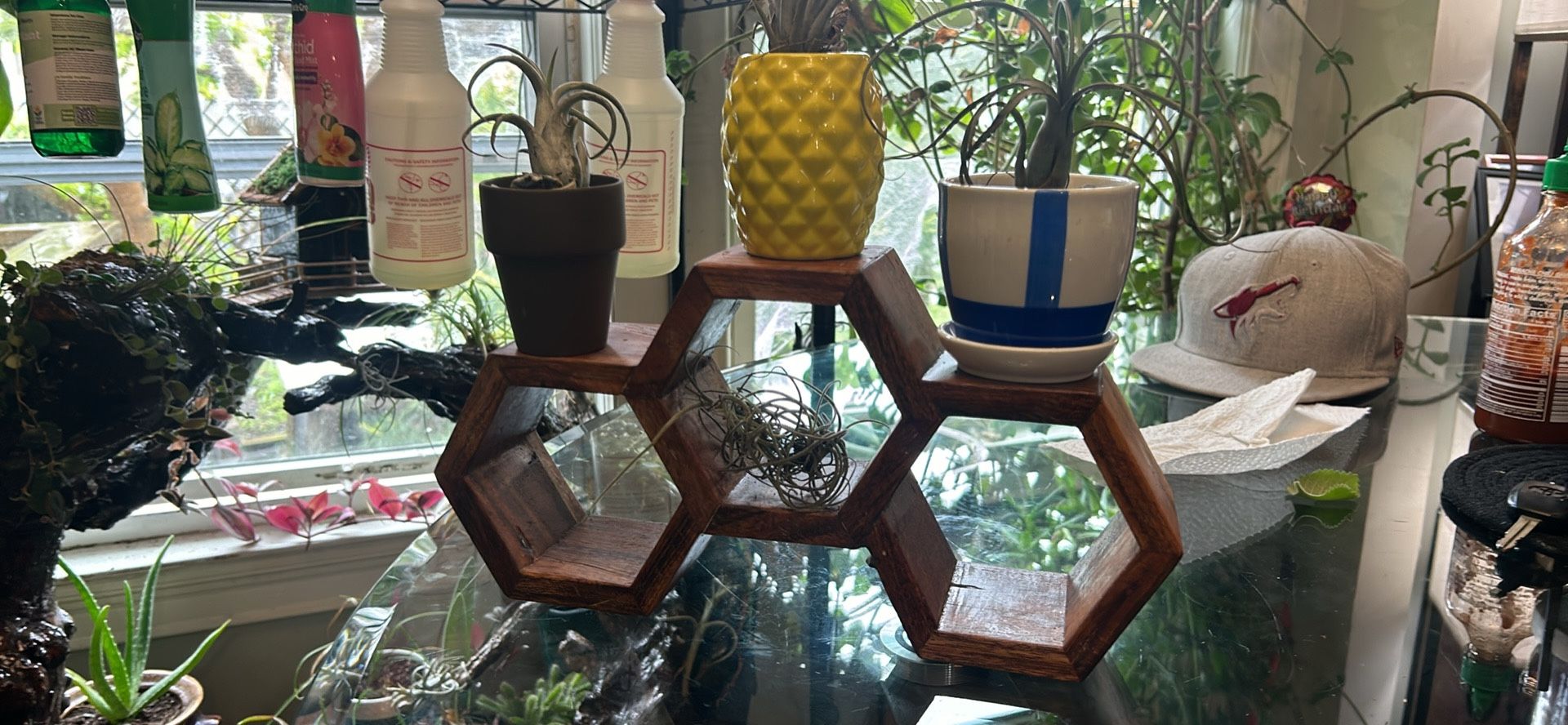 Red Oak Honey Comb W Air Plants