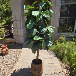 Fake Tree Plant