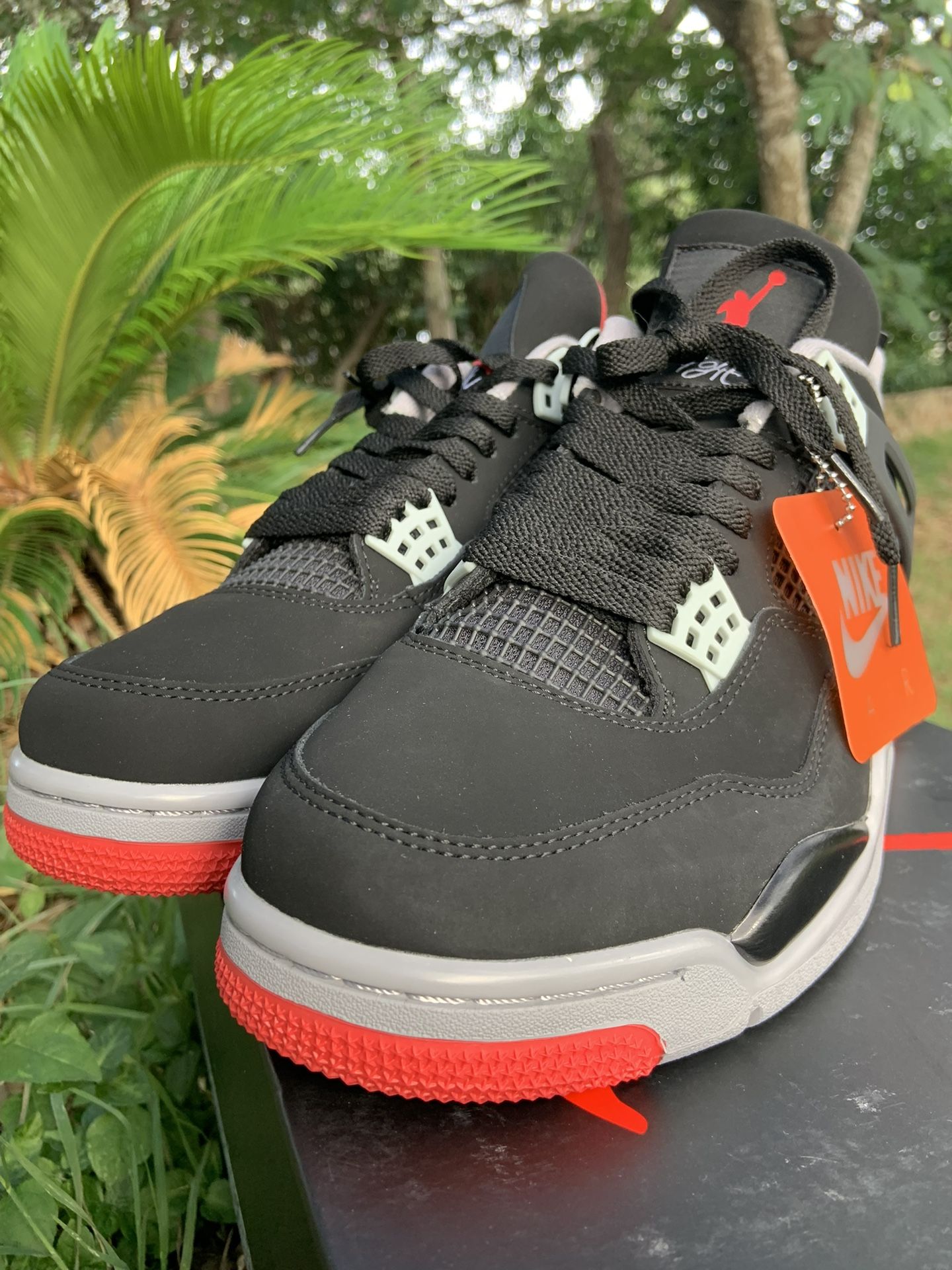 Jordan 4 breds 