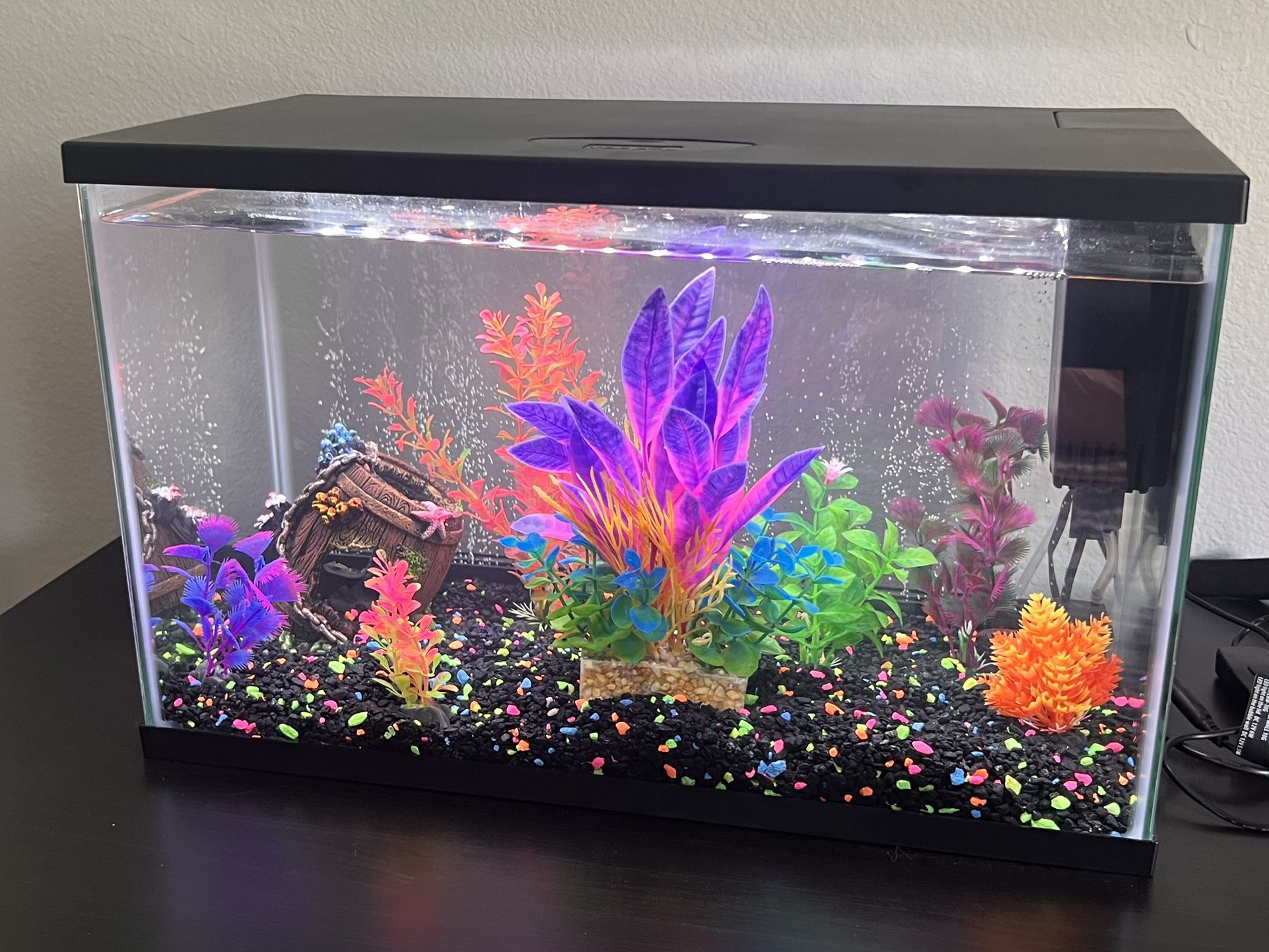 Top Fin Color Pop 10 Gallon Aquarium