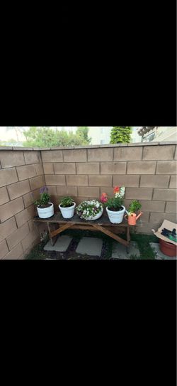 Rustic Wooden Outdoor Plant Stand and Pots