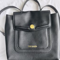 Backpack ( Steve Madden )