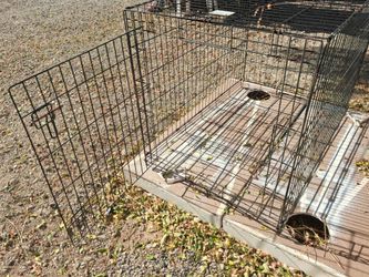 Cage Jaula 42×31"