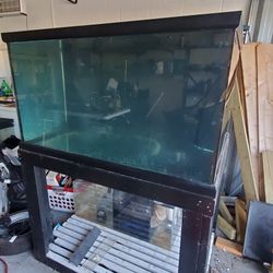 200 Gallon Aquarium With Sump, Stand, And Pump. Completely Operational 