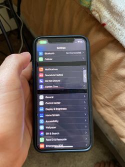 iPhone X
