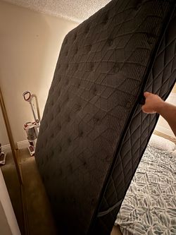 Queen Sealy Princeton soft mattress