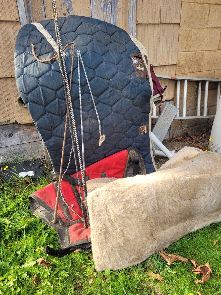 USED Horse Tack /Big D Blankets